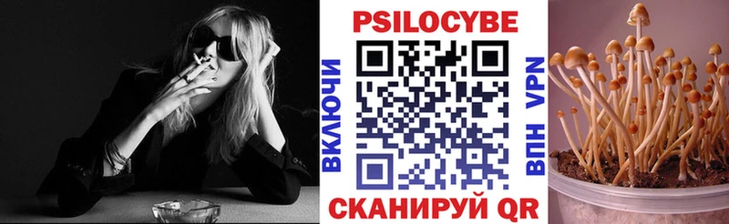 Галлюциногенные грибы мухоморы ссылка на мегу как войти Подольск