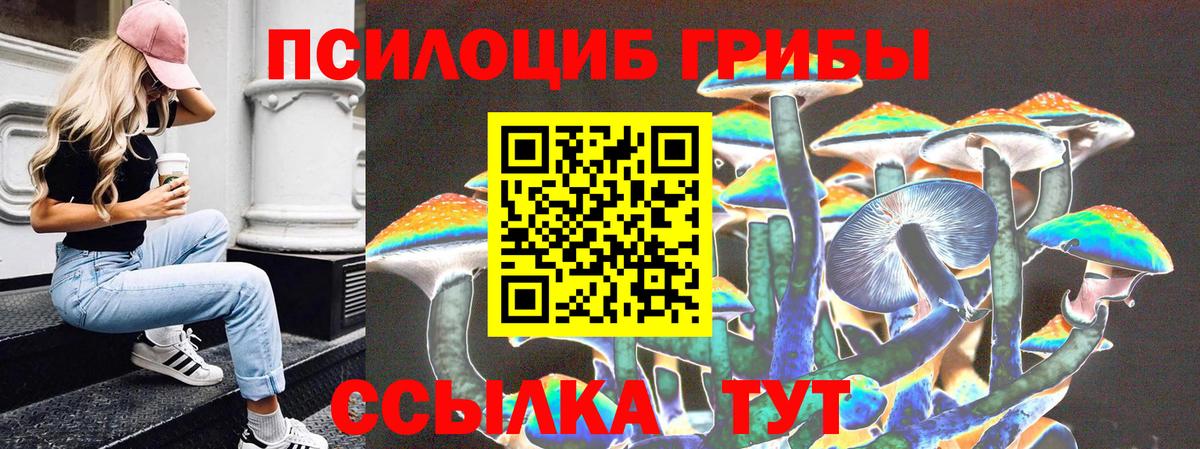 Подольск  Галлюциногенные грибы Cubensis  Галлюциногенные грибы MAGIC MUSHROOMS  Вход с VPN 